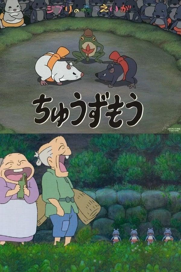 쥐 스모 이야기