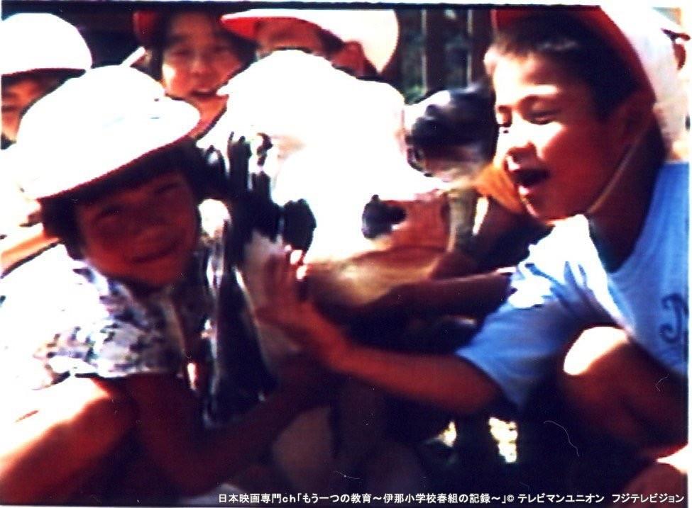 또 하나의 교육