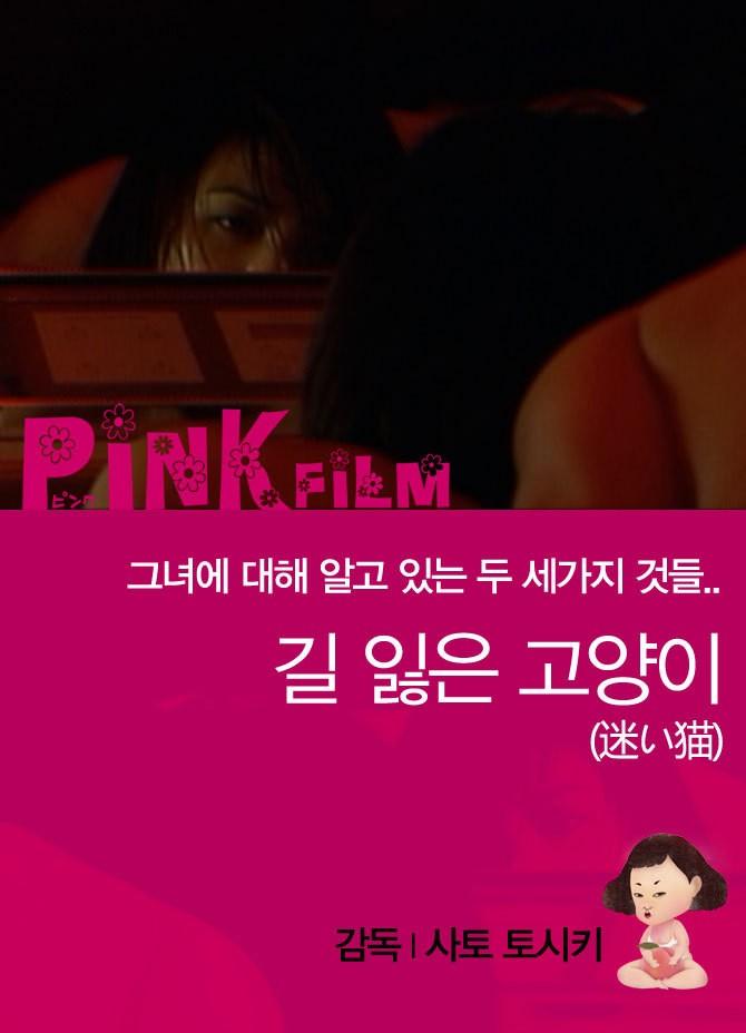 길 잃은 고양이