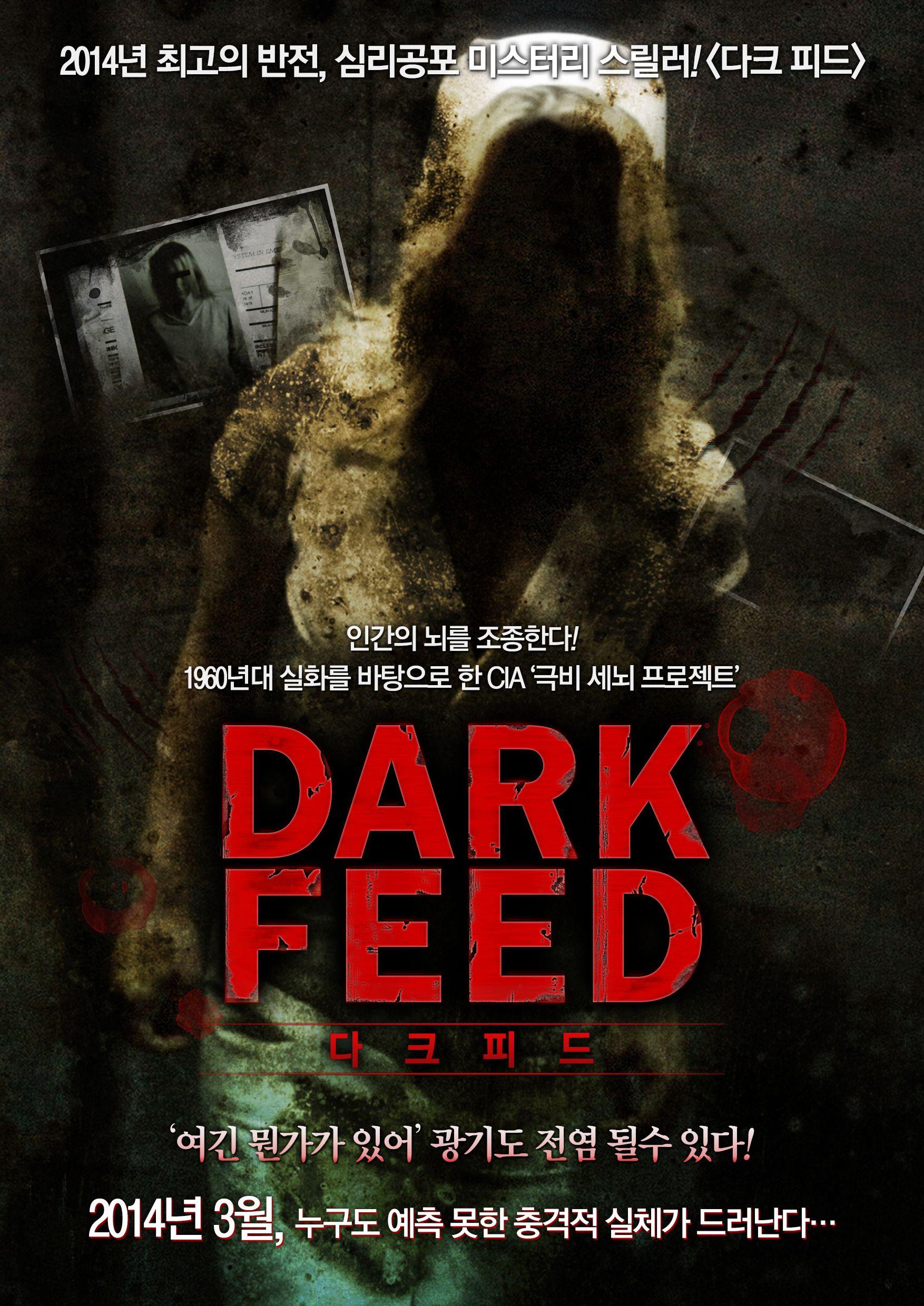 다크 피드
