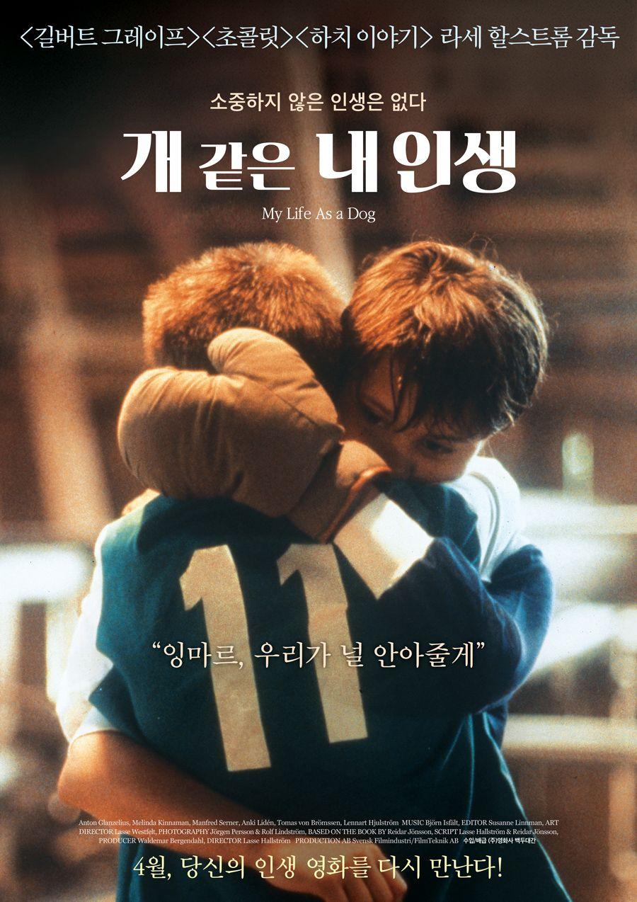 개같은 내 인생