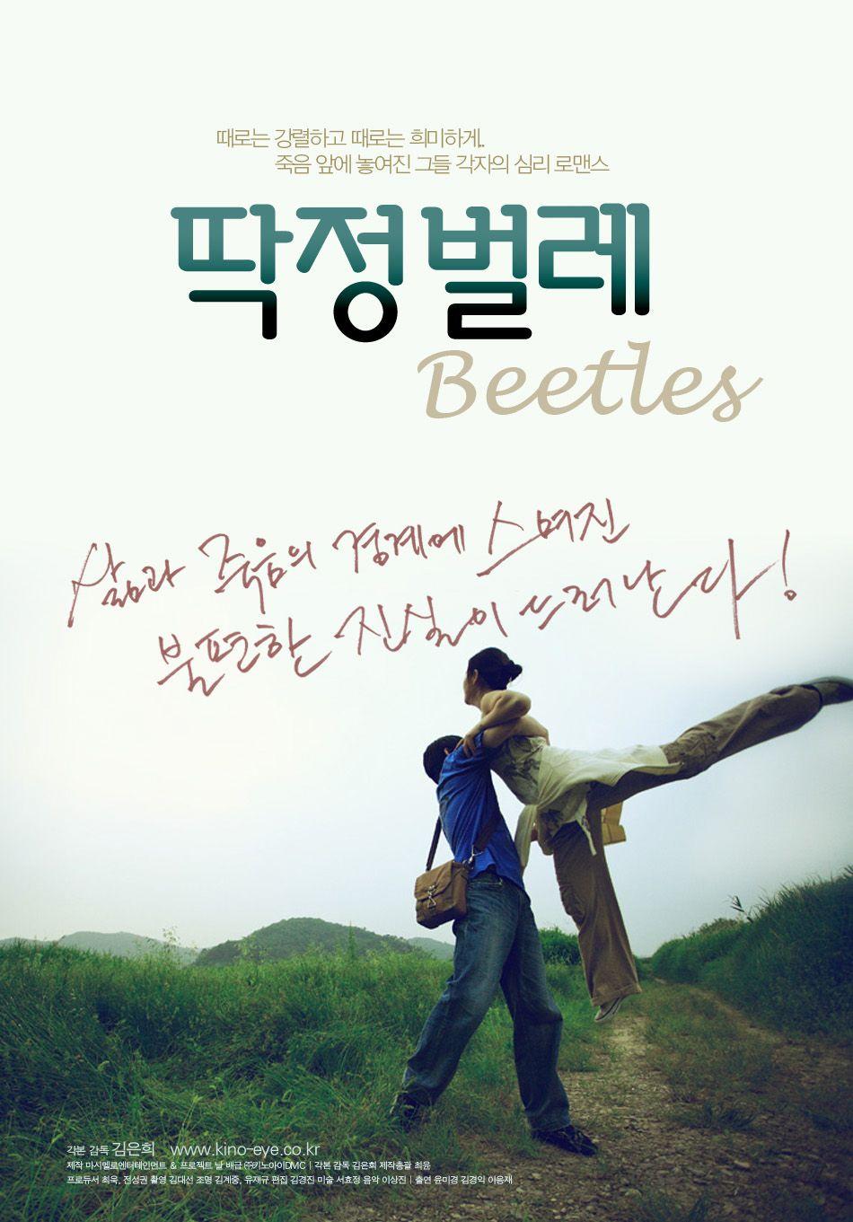 딱정벌레