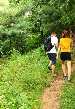 상냥한 쪽으로