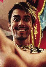 서바이브 스타일 5+