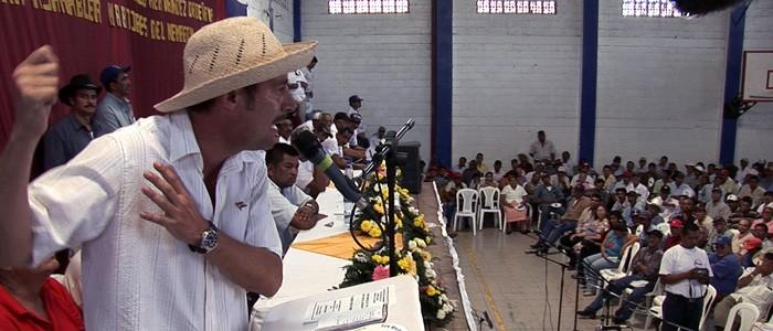 바나나 소송사건