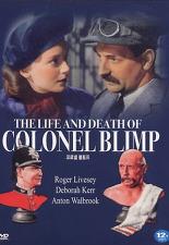 직업 군인 캔디씨 이야기