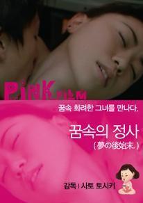 꿈속의 정사