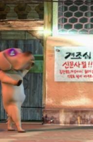 개조심
