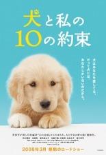 강아지와 나의 10가지 약속