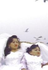 팬지와 담쟁이