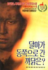 달마가 동쪽으로 간 까닭은?