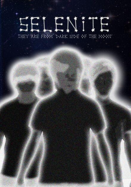 실리나이트