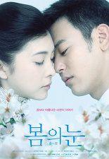 봄의 눈