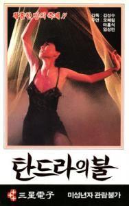탄드라의 불