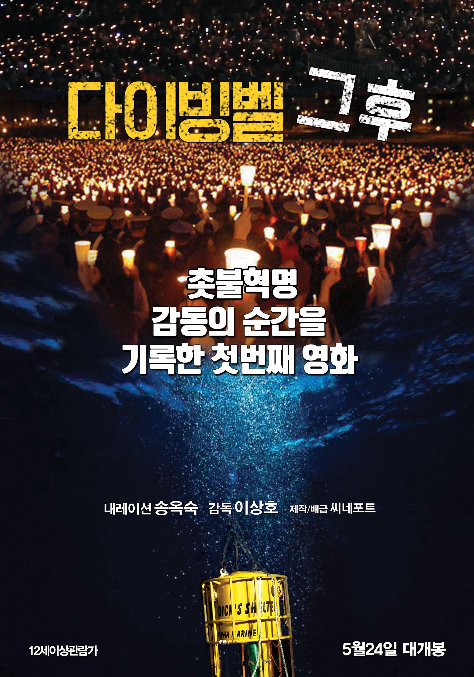 다이빙벨 그후