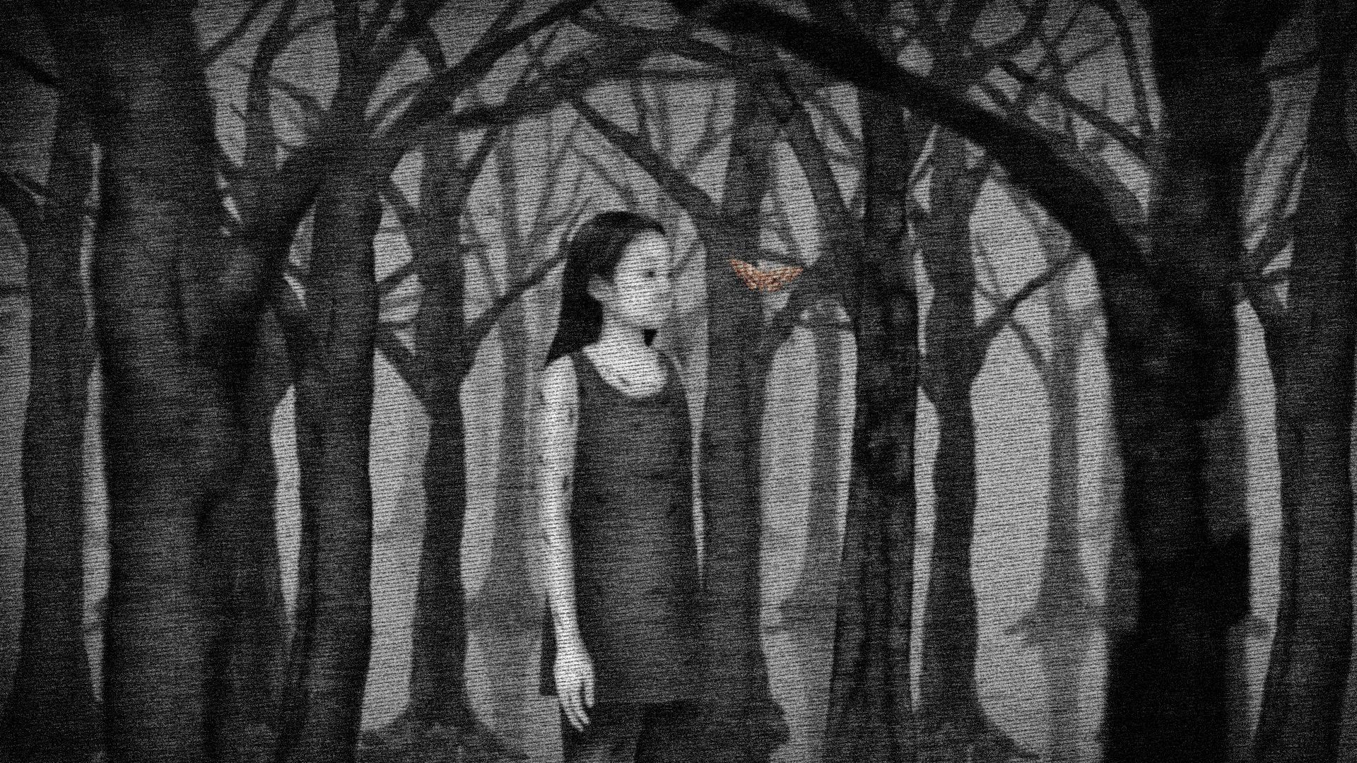 딥 인 리플렉션