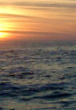 그 여름은 다시 오지 않으리