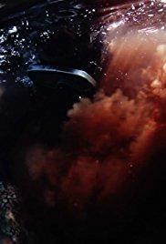 나의 형제 문어