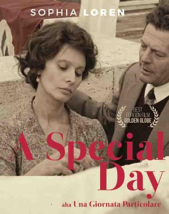 특별한 날