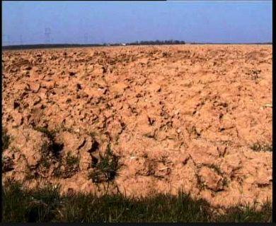 비엔날레 '04 예고편