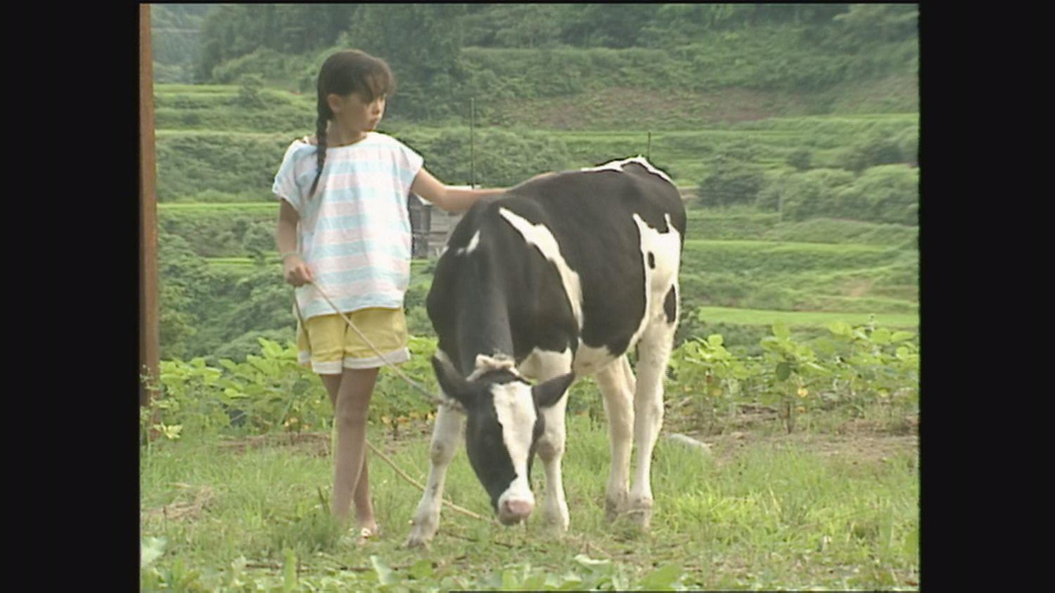 꿈은 소의 수의사