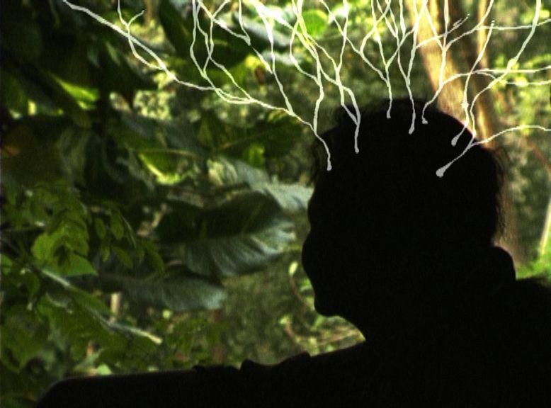 우리 어머니의 정원