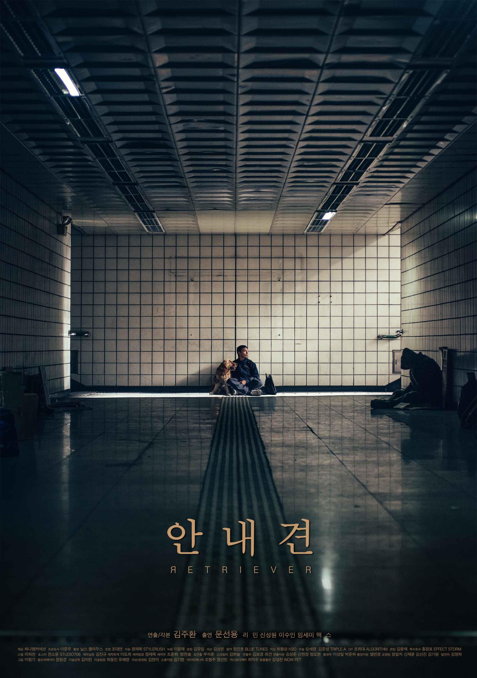 안내견