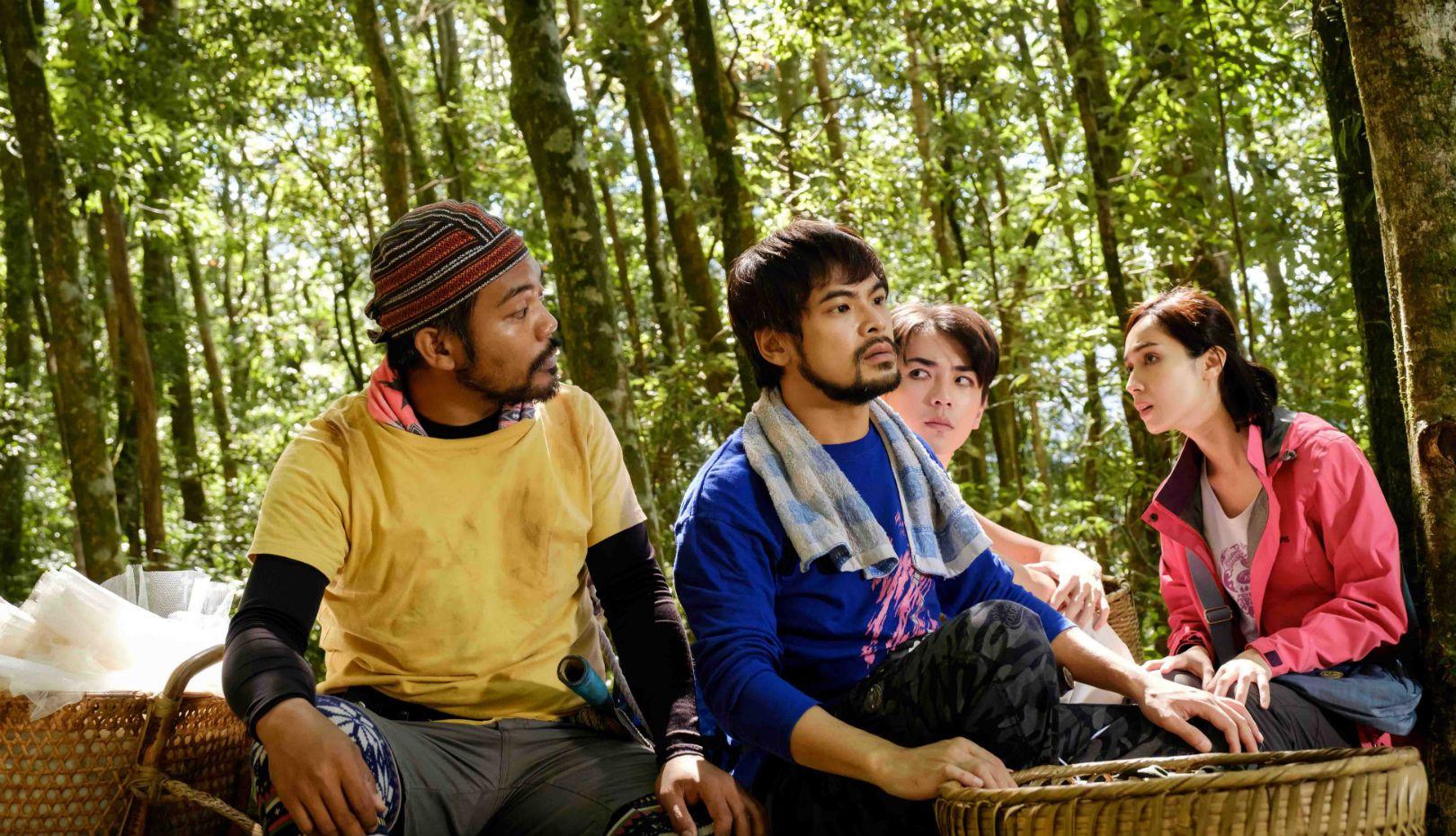 산속의 숨겨진 보물