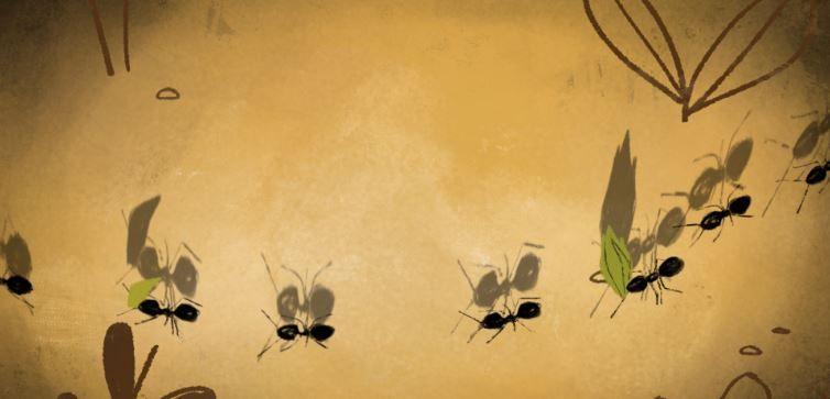 너구리와 손전등