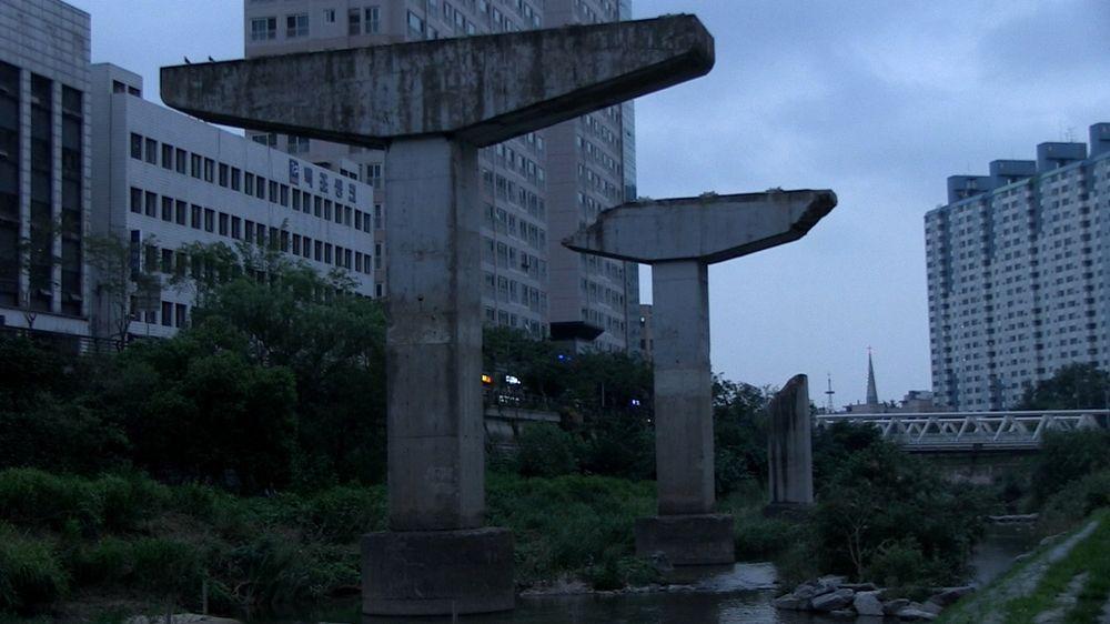 거대 생명체들의 도시