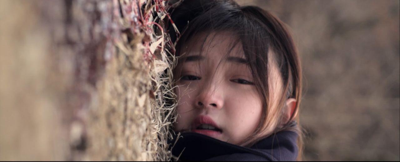 목격자