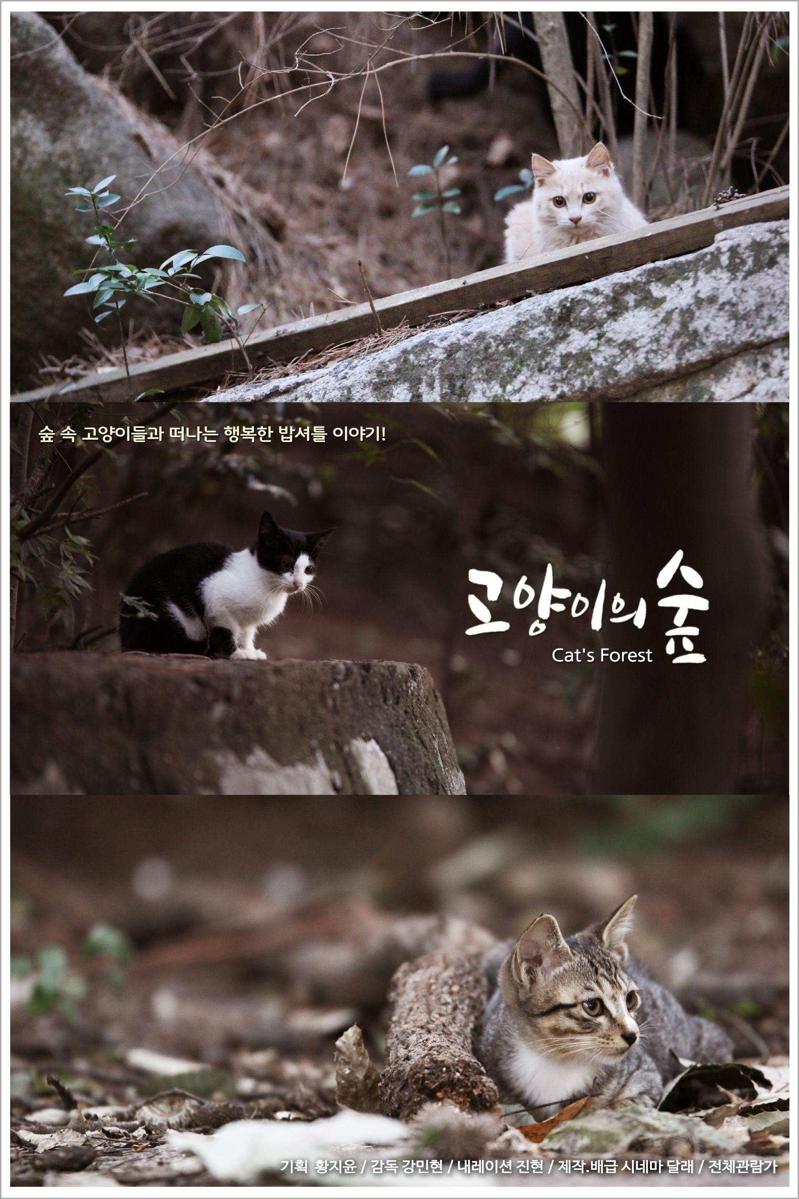 고양이의 숲