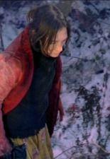 리빙 스틸 라이프