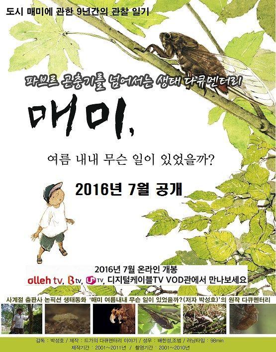 매미, 여름 내내 무슨일이 있었을까