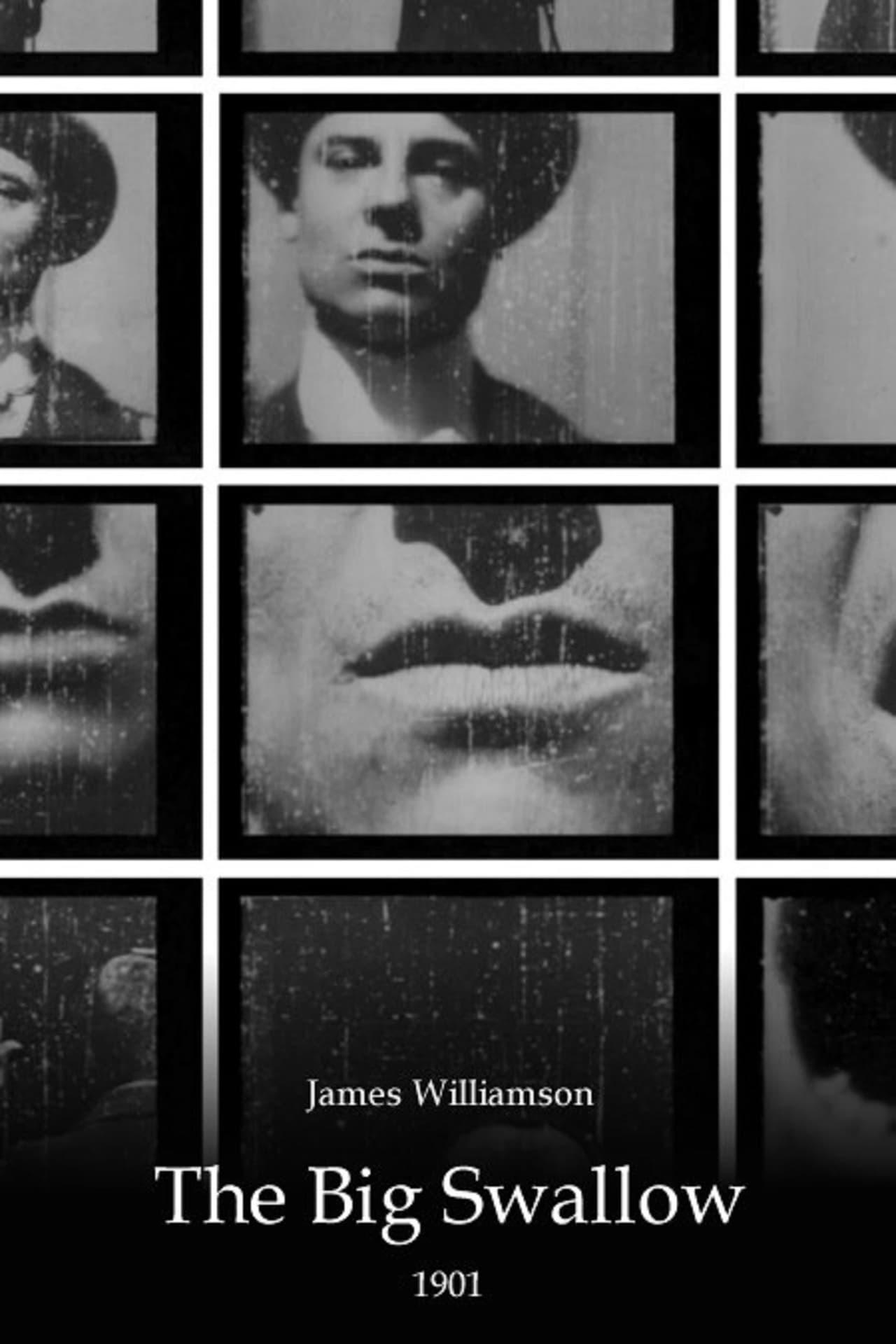 더 빅 스왈로우