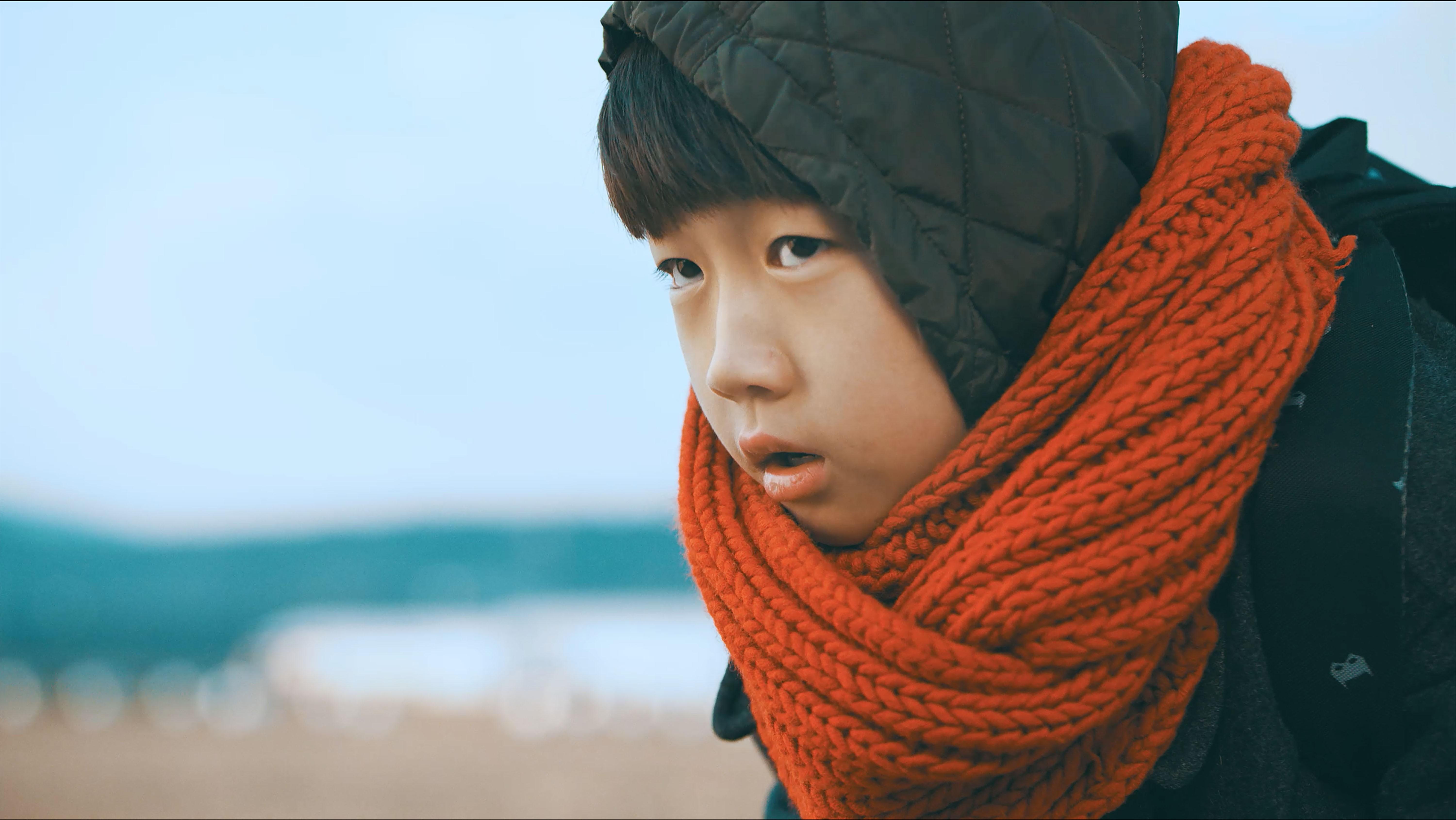 서정의 세계