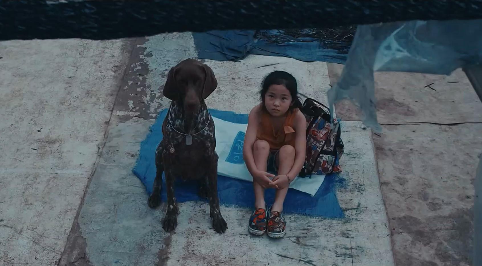 빛나는 츤츤
