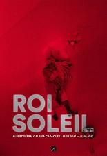 태양왕 루이 14세