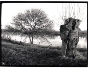 장 브리카르의 여정