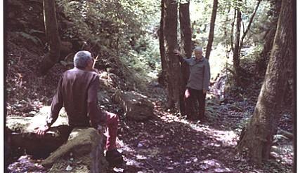 아르테미스의 무릎