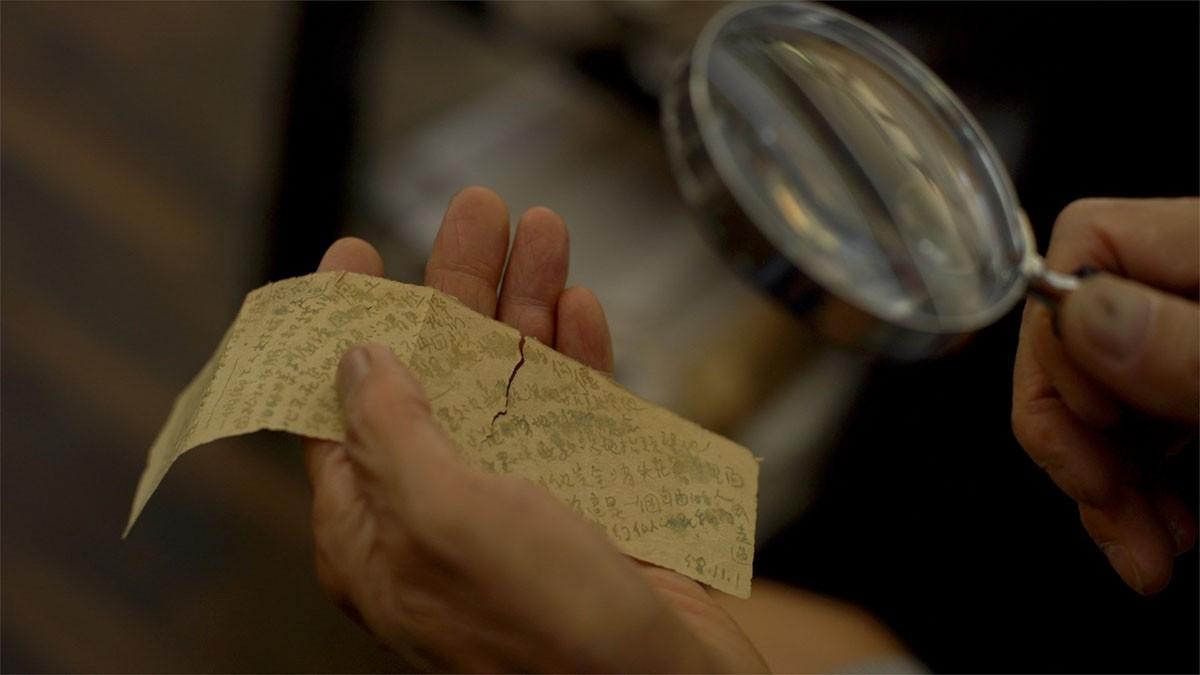 아름다움은 자유에 있다