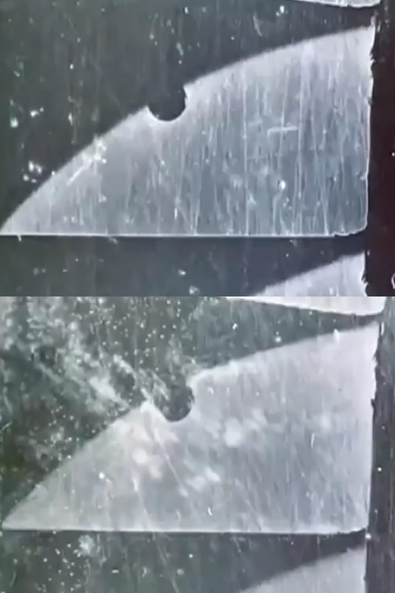 패시지 오브 비너스