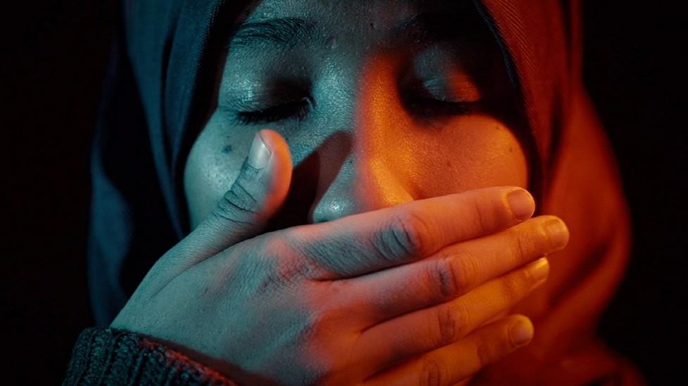 프라이머리 컬러스