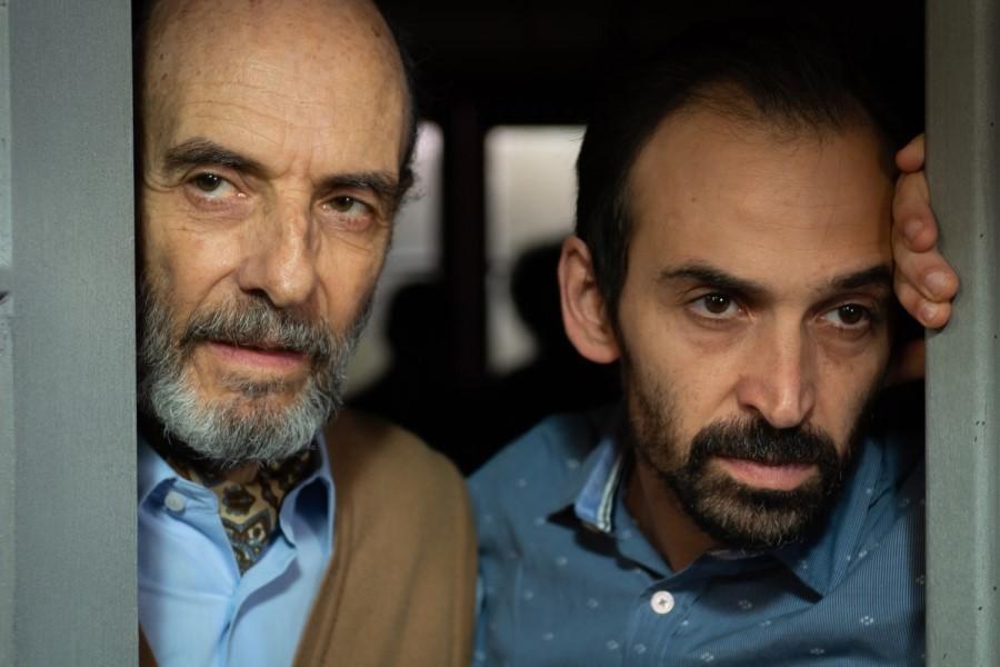 에르네스토의 시선