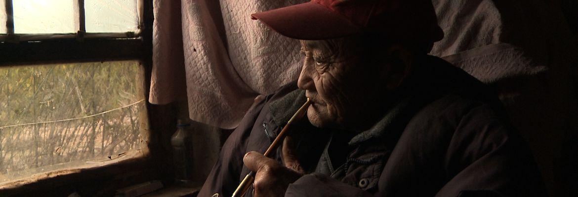 아버지와 벌과 나