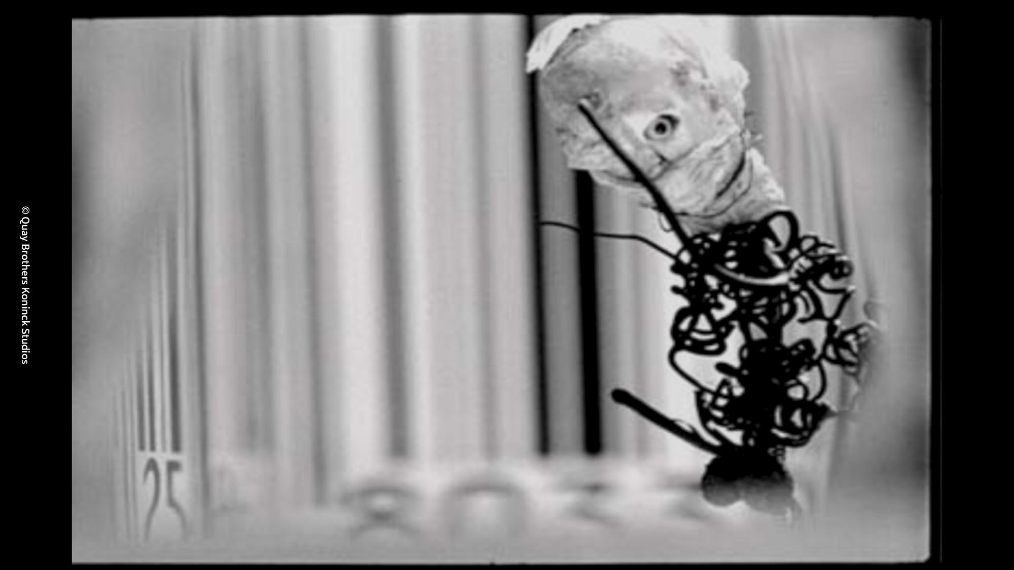 해부실의 남과 여