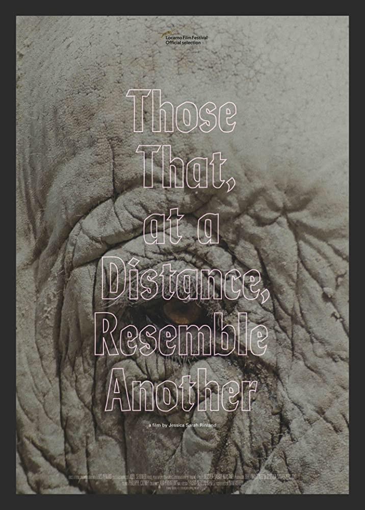 멀리서, 다르고 닮은