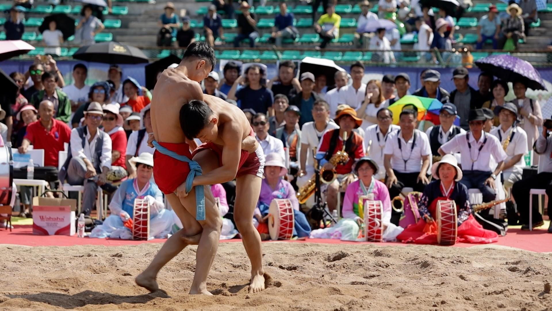 씨름, 분단을 넘어 세계를 잇다