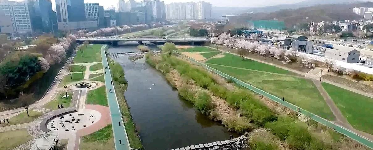 탄천의 주인은 누구인가?