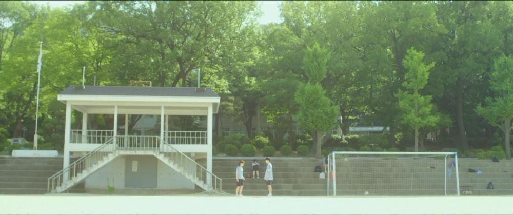 여름을 보내고